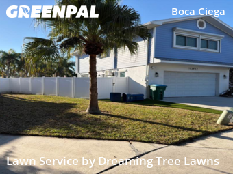 Lawn mowed in Seminole, 33772