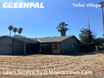 Grass Cut nearby Sacramento, CA, 