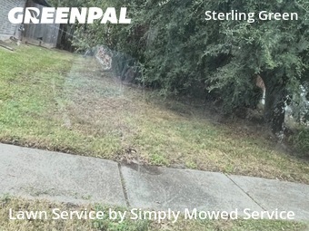 Lawn Care in Channelview, 77530, Grass Cutting by Simply Mowed Service, work completed in Dec , 2025