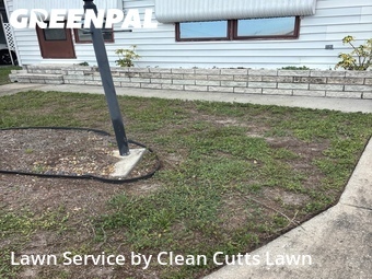 Grass Cut nearby Palmetto, FL, 