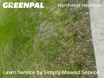 Weekly Mowing in Galena Park, 77547, Garden Trimming by Simply Mowed Service, work completed in Nov , 2025