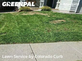 Yard Cutting nearby Colorado Springs, CO, 