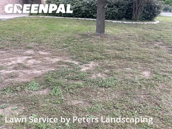 Lawn Cut nearby Temple, TX, 