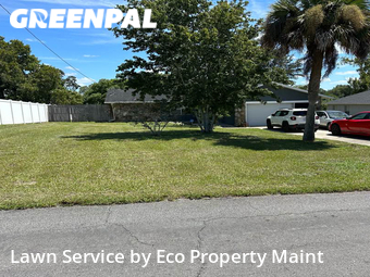 Lawn Cutting nearby Spring Hill, FL, 