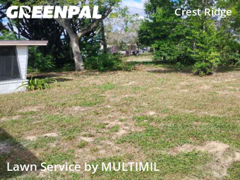 Lawn Mowing Service nearby Holiday, FL, 