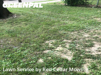 Lawn Care nearby Lansing, MI, 
