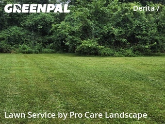 Lawn Mow nearby Charlotte, NC, 