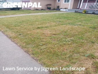 Lawn Cut nearby San Lorenzo, CA, 