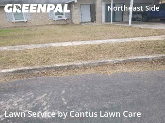 Lawn Mowing Servicein San Antonio,78239,Lawn Care Service by Cantus Lawn Care , work completed in Dec , 2025