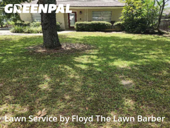 Lawn Cut nearby Altamonte Springs, FL, 