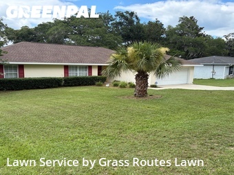 Lawn Mow nearby Ocala, FL, 