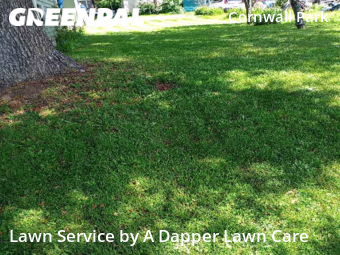 Lawn Cutting nearby Bellingham, WA, 