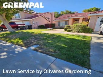 Work completed by grass-cutting-businesses-in-Palmdale-CA