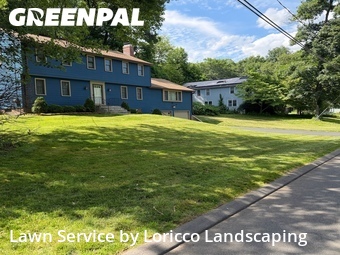 Lawn mowed in Bloomfield, 6002