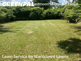 Yard Cutting nearby Baton Rouge, LA, 