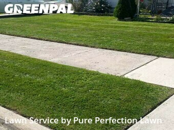 Yard Grooming in Wyandotte, 48192, Yard Care by Pure Perfection Lawn, work completed in Nov , 2025