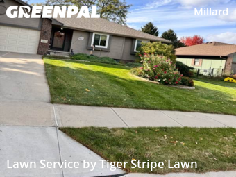 Lawn Care nearby Omaha, NE, 