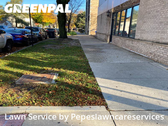 Yard Mowing nearby Chicago, IL, 