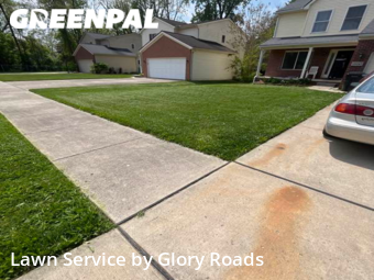 Lawn Cut nearby Redford Charter Township, MI, 