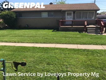 Lawn Cut nearby Ypsilanti, MI, 