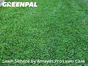 Yard Cutting nearby Corpus Christi, TX, 