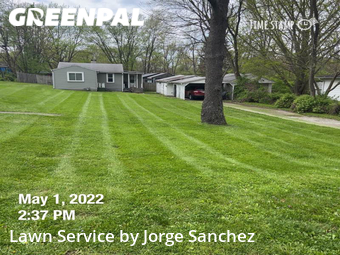 Yard Cutting nearby Indianapolis, IN, 