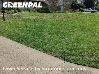 Lawn Mowing nearby Spring Hill, FL, 