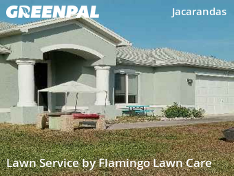 Lawn Upkeep in Cape Coral, 33909, Yard Work by Flamingo Lawn Care, work completed in Dec , 2025