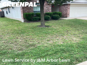 Lawn Mow nearby Hutto, TX, 