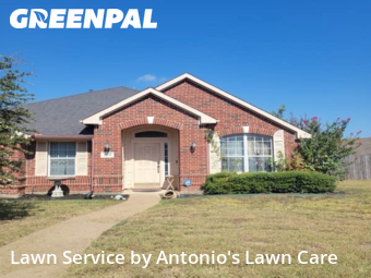 Yard Cutting in Cedar Hill, 75104, Grass Services by Antonio's Lawn Care, work completed in Nov , 2025