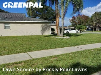 Lawn Mowing nearby Apopka, FL, 