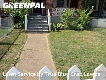 Yard Cutting nearby Dundalk, MD, 