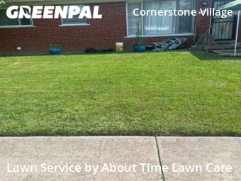 Grass Cut nearby Detroit, MI, 