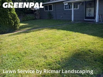 Lawn Cut nearby Federal Way, WA, 