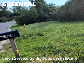 Grass Cuttingin Altamonte Springs,32714,Lawn Cutting by Big Tops Lawn &Care, work completed in Nov , 2025