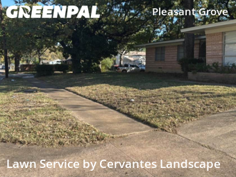 Lawn Mowingin Dallas,75217,Yard Mowing by Cervantes Landscape, work completed in Nov , 2025