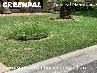 Lawn Care Service nearby Orange Park, FL, 