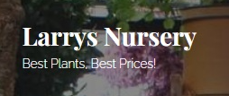 Best Nursery in Kansas City Kansas 1