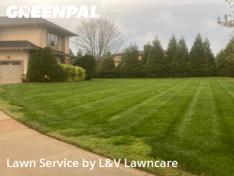 Grass Cutting nearby Weddington, NC, 
