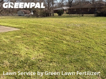 Grass Cut nearby Springfield, MO, 