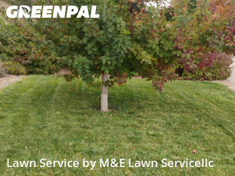 Lawn Maintenance nearby Aurora, CO, 