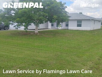 Lawn mowed in Cape Coral, 33991