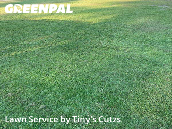 Lawn Mowing Service nearby Valdosta, GA, 