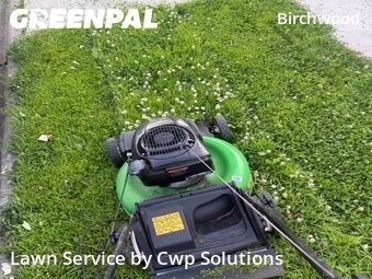 Lawn mowed in Minneapolis, 55416