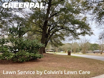 Lawn Cut nearby Daphne, AL, 