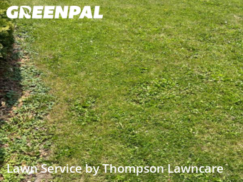 Grass Services in Freeport, 61032, Yard Management by Thompson Lawncare, work completed in Nov , 2025