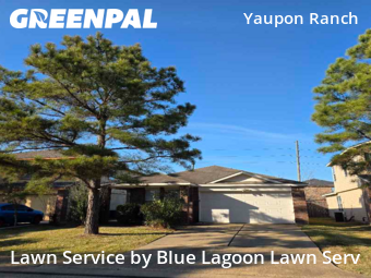 Grass Cuttingin Cypress,77433,Lawn Maintenance by Blue Lagoon Lawn Serv, work completed in Feb , 2026