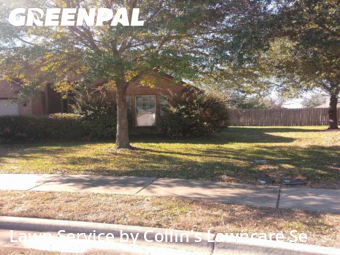 Lawn mowed in Buda, 78610