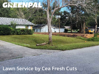 Lawn Cutting nearby Ocala, FL, 