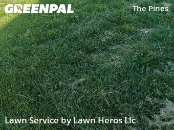 Lawn Care nearby Greensboro, NC, 